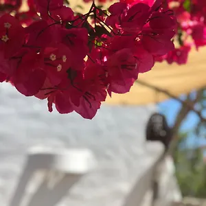 Vakantiehuis Casa Mariposa